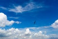 Blue sky with heavy cumulus clouds and bird silhouettes