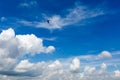 Blue sky with heavy cumulus clouds and bird silhouettes