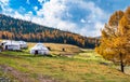 Autumn grassland in Xinjiang Royalty Free Stock Photo