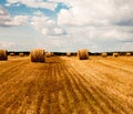 sky with little clouds, green forest and yellow ricks of hay