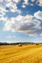 Blue sky with little clouds, green forest and yellow ricks of hay