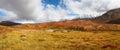 Blue sky and mountains, panorama. Royalty Free Stock Photo