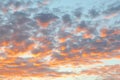 Blue sky orange clouds summer sunset Royalty Free Stock Photo