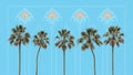 Blue Sky with Palm Trees Pattern Royalty Free Stock Photo