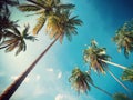 Blue sky and palm trees view from below, vintage style, tropical beach and summer background Royalty Free Stock Photo