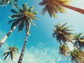 Blue sky and palm trees view from below, vintage style, tropical beach and summer background Royalty Free Stock Photo