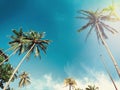 Blue sky and palm trees view from below, vintage style, tropical beach and summer background Royalty Free Stock Photo