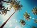 Blue sky and palm trees view from below, vintage style, tropical beach and summer background Royalty Free Stock Photo