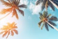 Blue sky and palm trees view from below, vintage style, tropical beach and summer background, travel concept Royalty Free Stock Photo