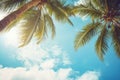 Blue sky and palm trees view from below, vintage style, tropical beach and summer background, travel concept Royalty Free Stock Photo