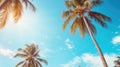 Blue sky and palm trees view from below, vintage style, tropical beach and summer background, travel concept Royalty Free Stock Photo