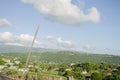 The Greenery Of Earth On A Bright Day