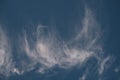 Blue Sky with puffy cloud .Air clouds