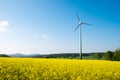 Blue sky, rapeseed and windwheel Royalty Free Stock Photo