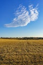 Blue sky with rare cloud in the freshly harvested agriculture field,