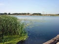 The blue sky is reflected in the quiet river. Royalty Free Stock Photo