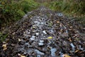 Extremely wet and muddy rural road after the rain. Multiple deep foot prints in the mud. Royalty Free Stock Photo