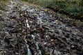 Extremely wet and muddy rural road after the rain. Multiple deep foot prints in the mud. Royalty Free Stock Photo