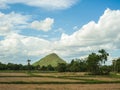 Blue sky with rice field