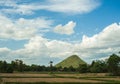 Blue sky with rice field