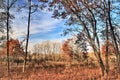 A blue sky and the rusty colors of late-Autumn in a field and forest in Southern Wisconsin Royalty Free Stock Photo