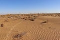blue sky and sandy dunes, landscape of desert Kyzylkum at autumn, Uzbekistan, Central Asia