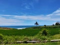 Blue sky or blue sea uper green grass