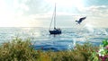 Blue sky sea  wave  water splash seagull on sky wild beach flowers on front and boat  summer day sun beam  seascape Royalty Free Stock Photo