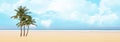 Blue sky and sea  white clouds  tropical tree summer background banner template illustration,background Royalty Free Stock Photo