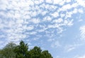 blue sky with small clouds and treetops