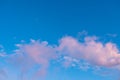 Blue sky at sunset with pink clouds background nature