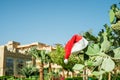 Blue sky, tall palm trees and cacti.Red Santa`s hat hanging on palm tree at tropical beach. Christmas in tropical Royalty Free Stock Photo