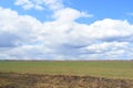 Blue sky. Thick clouds low over the field. Forest in the distance. A large field of young grass, boundless