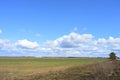 Blue sky. Thick clouds low over the ground. Forest in the distance. Green field of grass. A large field of young grass