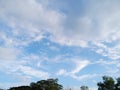 Blue sky and tree sky cloudy nice