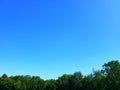 Blue Sky Treeline