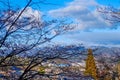 Blue sky with trees and clouds before approaching storm