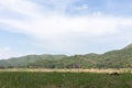 Blue sky with trees, clouds and mountains, sky background image Royalty Free Stock Photo