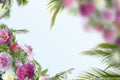 Blue sky tropical  green palm leaves on front exotic yellow pink coral lilac  flowers summer  template background Royalty Free Stock Photo