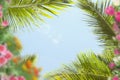 Blue sky tropical  green palm leaves on front exotic yellow pink coral lilac  flowers summer  template background Royalty Free Stock Photo