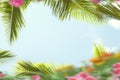 Blue sky tropical  green palm leaves on front exotic yellow pink coral lilac  flowers summer  template background Royalty Free Stock Photo