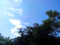 this blue sky and under green trees