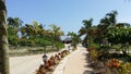 Blue sky at Varadero beach - Cuba