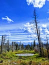Blue sky watering hole on top of Forest mountain topp Royalty Free Stock Photo