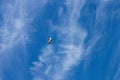 Blue sky with whispy clouds and graduation diploma ballon loose and flying up high