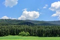 Blue sky and white cloud forest grassland