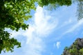 Blue Sky, White Cloud and Green Tree. Beautiful Nature Background Royalty Free Stock Photo