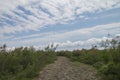 Blue Sky, White Cloud and Green Tree Royalty Free Stock Photo