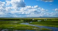 The blue sky white cloud of wetlands