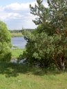 Blue sky and white clouds above the river between pine and lush green Bush Royalty Free Stock Photo